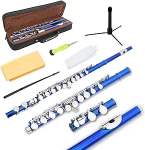 Closed Hole C Flute 16 Keys with Case, Stand and Cleaning Kit