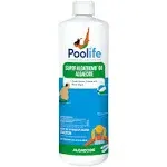 Poolife Super AlgaeBomb 60 (1 qt)