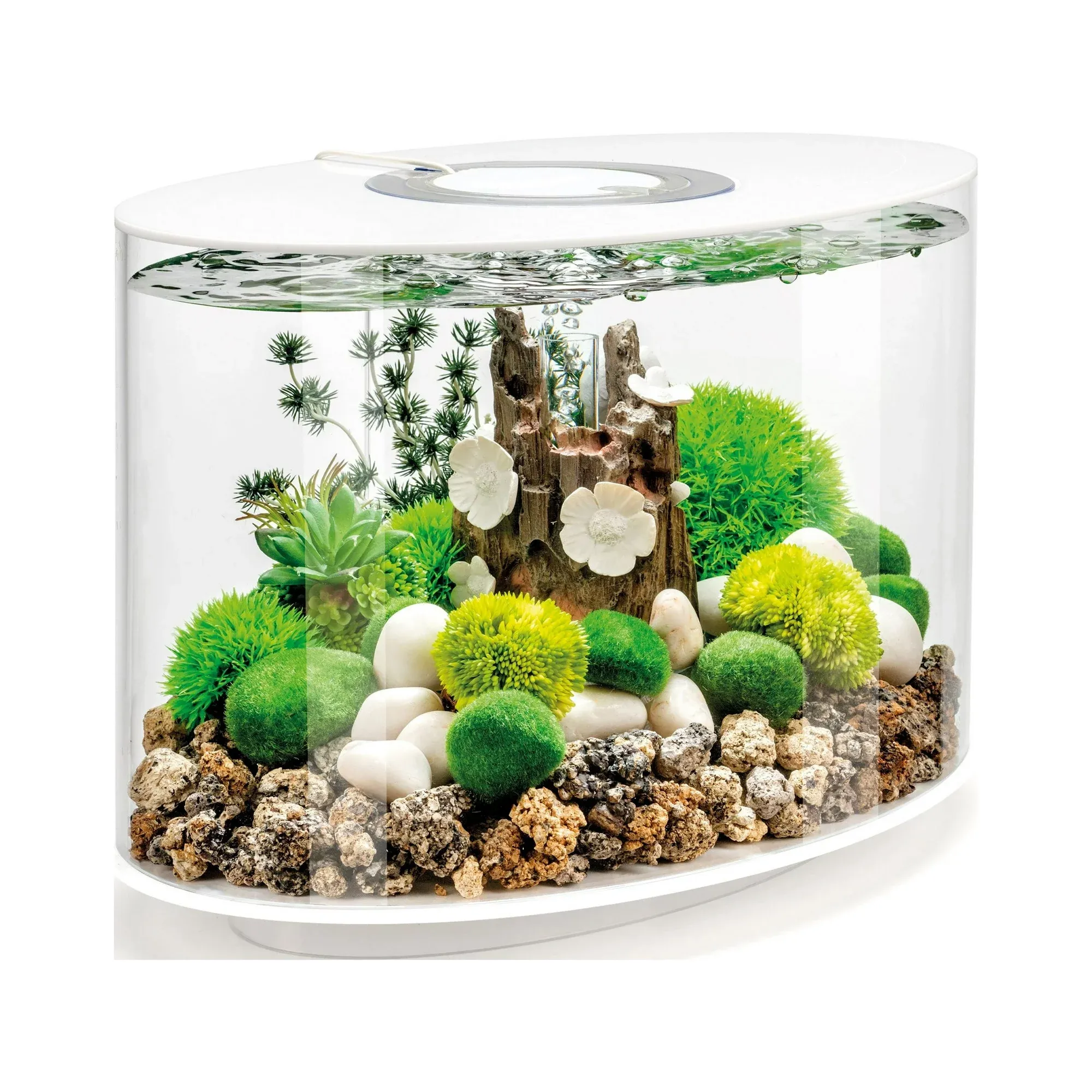 biOrb Loop 15 Aquarium with Standard Light 4 Gallon White