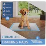 Pet All Star Training Pads 100 Count