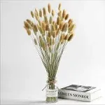 Natural Dried Bunny Tail Grass - 110~120 Stems Rabbit Tail Grass, Lagurus Ovatus for Boho Decor, Dried Pampas Grass Flower Arrangements Wedding Home