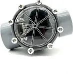 Enhance Your Pool System Efficiency with the AppaeTech 7305 2-Inch to 2-1/2-Inch CPVC Check Valve