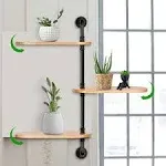 Whiidoom 3-Tier Rotating Window Plant Shelves