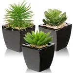 Small Succulents Artificial 3 Pcs Faux Succulents in Pots Fake Succulent Plan...