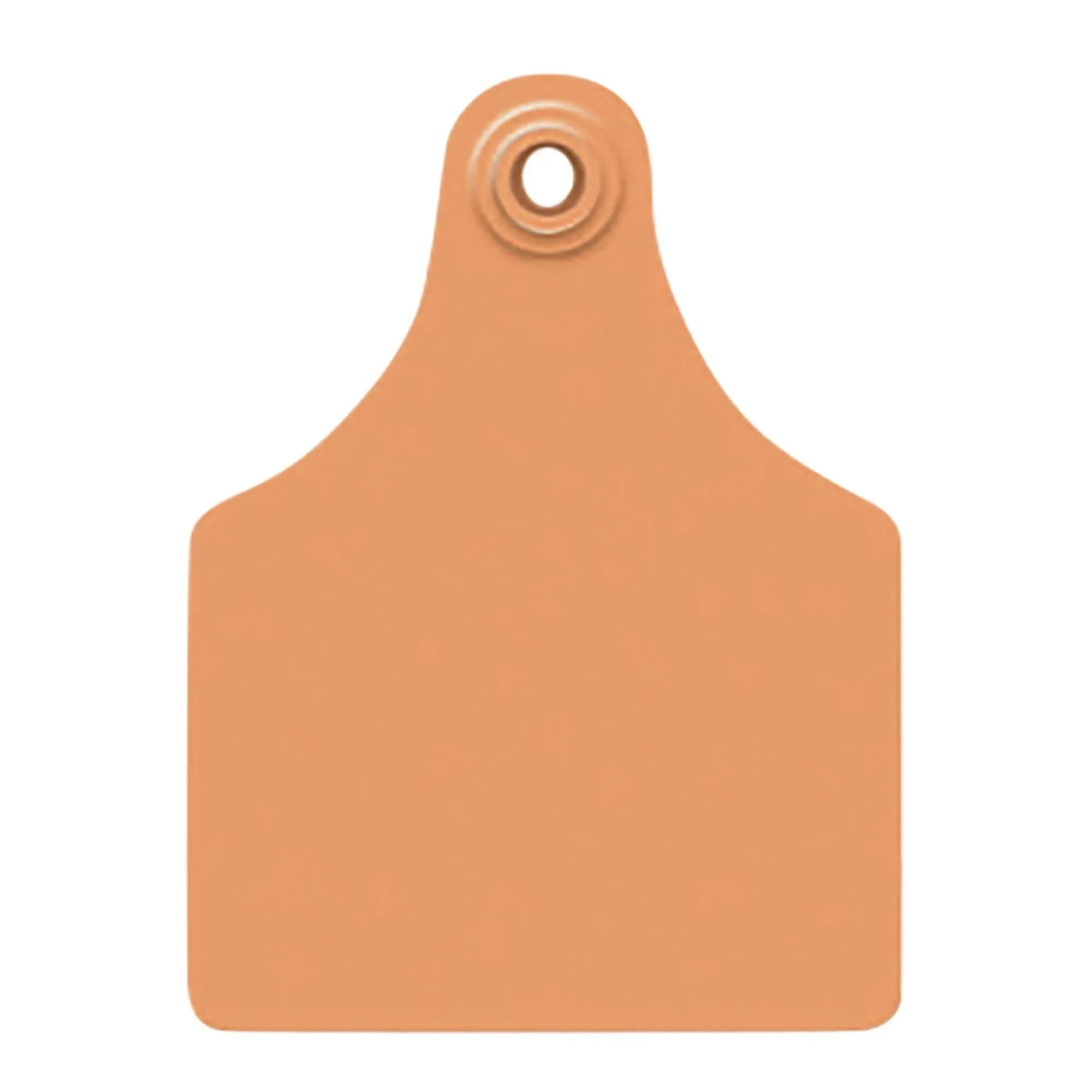 Allflex Global Maxi Blank Ear Tags