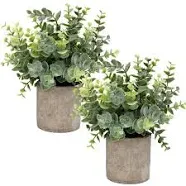 Flojery Mini Potted Plants Artificial Eucalyptus Boxwood Rosemary Faux Herbs Small House Plants 8.3"-9" Tall for Indoor Greenery Tabletop Décor