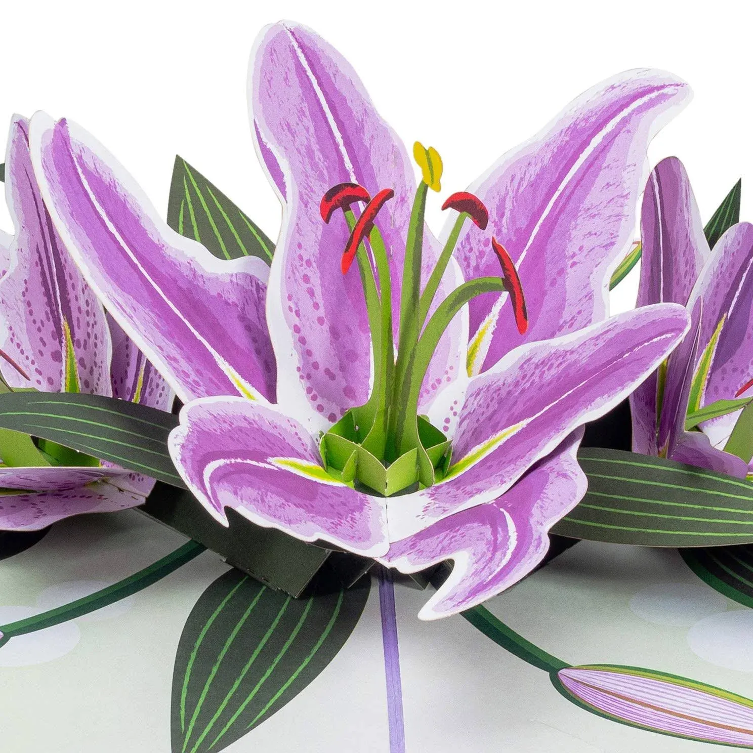 Paper Love 3D Purple Lilies Pop Up Card, Gift for Birthday, Wedding, Annivers...