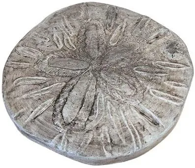 BestNest by Athens Stonecasting Inc Sand Dollar Stepping Stone