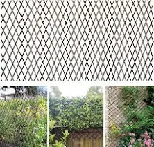 Glant Willow Expandable Lattice Fence