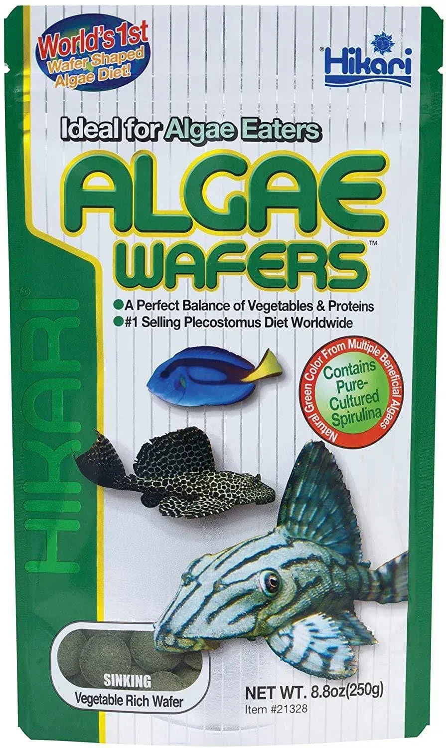 Hikari Algae Wafers (8.8 oz)