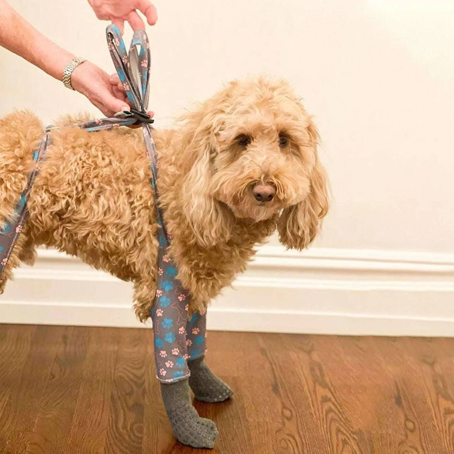 WALKEE PAWS Stay-On Grippy Socks, Indoor Anti-Slip Grip, Traction, Protect Floors & Pup's Paws, Easy-On & Off, Stay-On Design, As Seen on Shark Tank, Never Lose a Dog Sock Again (Medium)