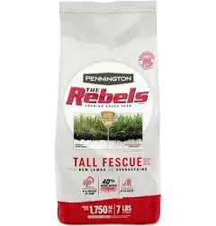 Rebel Fescue Grass Seed, 3 Lbs.