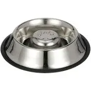 Neater Pet Brands Slow Feed Bowl