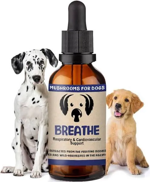 MycoDog Breathe Mushroom Supplement