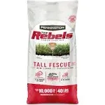 Pennington The Rebels 40-lb Tall Fescue Grass Seed