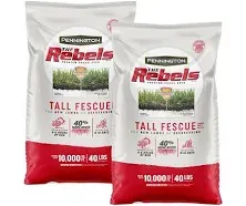 Pennington The Rebels 40-lb Tall Fescue Grass Seed