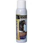 Banixx Premium Analgesic Liniment