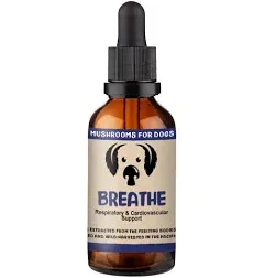 MycoDog Breathe Mushroom Supplement