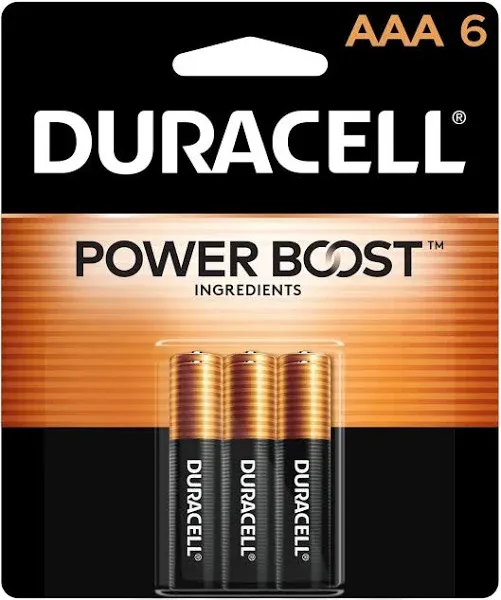 Duracell Coppertop Alkaline AAA Batteries