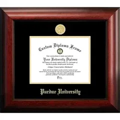 Campus Images NC995GED East Carolina University Embossed Diploma Frame, 11" x 14", Gold