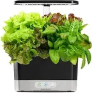 AeroGarden Harvest with Heirloom Salad Greens Pod Kit