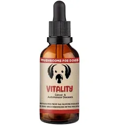 MycoDog Vitality Mushroom Extract & Adaptogen Tincture