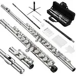 POGOLAB Flutes, Closed Hole C 16 Keys Flute Instrument, Student Flute for Beginner Advanced Player with Flute Cleaning Kit, Carry Bag, Stand, Strap, Probe Rod, Gloves, Nickel Flute