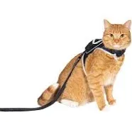 Stray x Travel Cat Harness & Leash Set