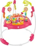 Fisher Price Pink Petals Jumperoo