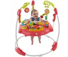 Fisher Price Pink Petals Jumperoo