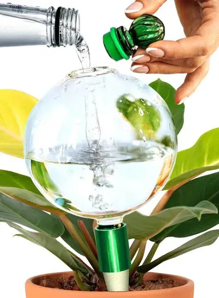 GARDENBRO Plant Watering Globes XL