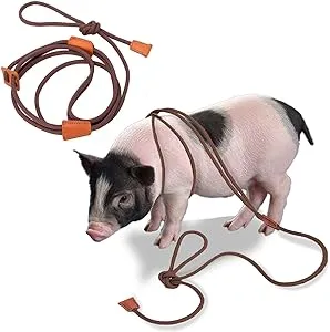 Qigeneimu Mini Pig Harness and Leash