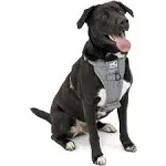 Kurgo Tru-Fit Smart Dog Harness