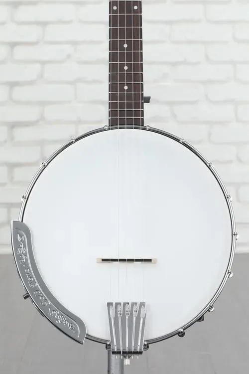 Gold Tone CC-50 Banjo