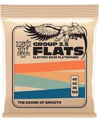 Ernie Ball Flatwound Electric Bass Strings