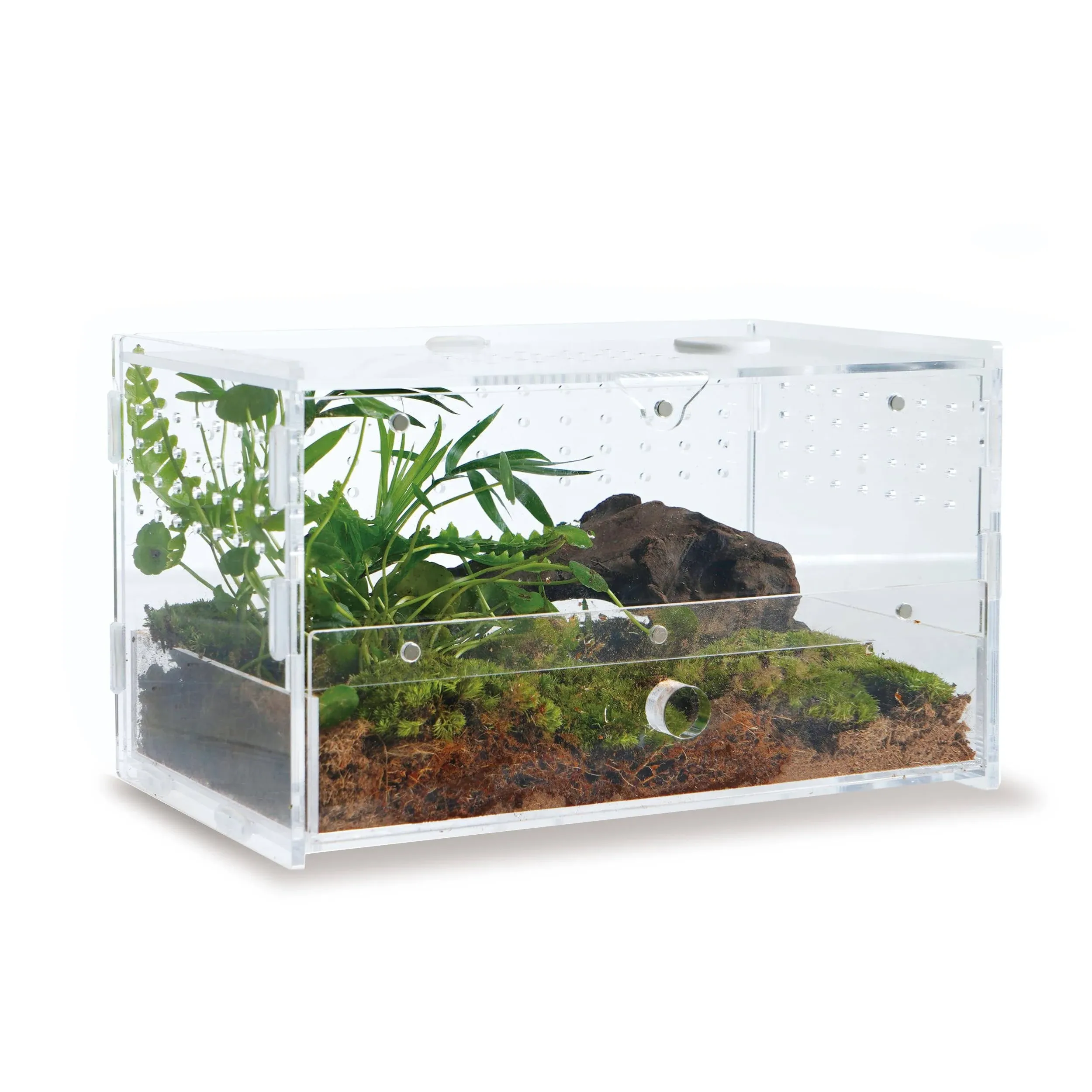 WBHONGHUI Reptile Habitat Enclosure Terrarium