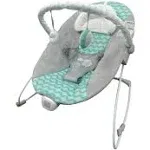 Ingenuity Bouncity Bounce Goji Baby Bouncer