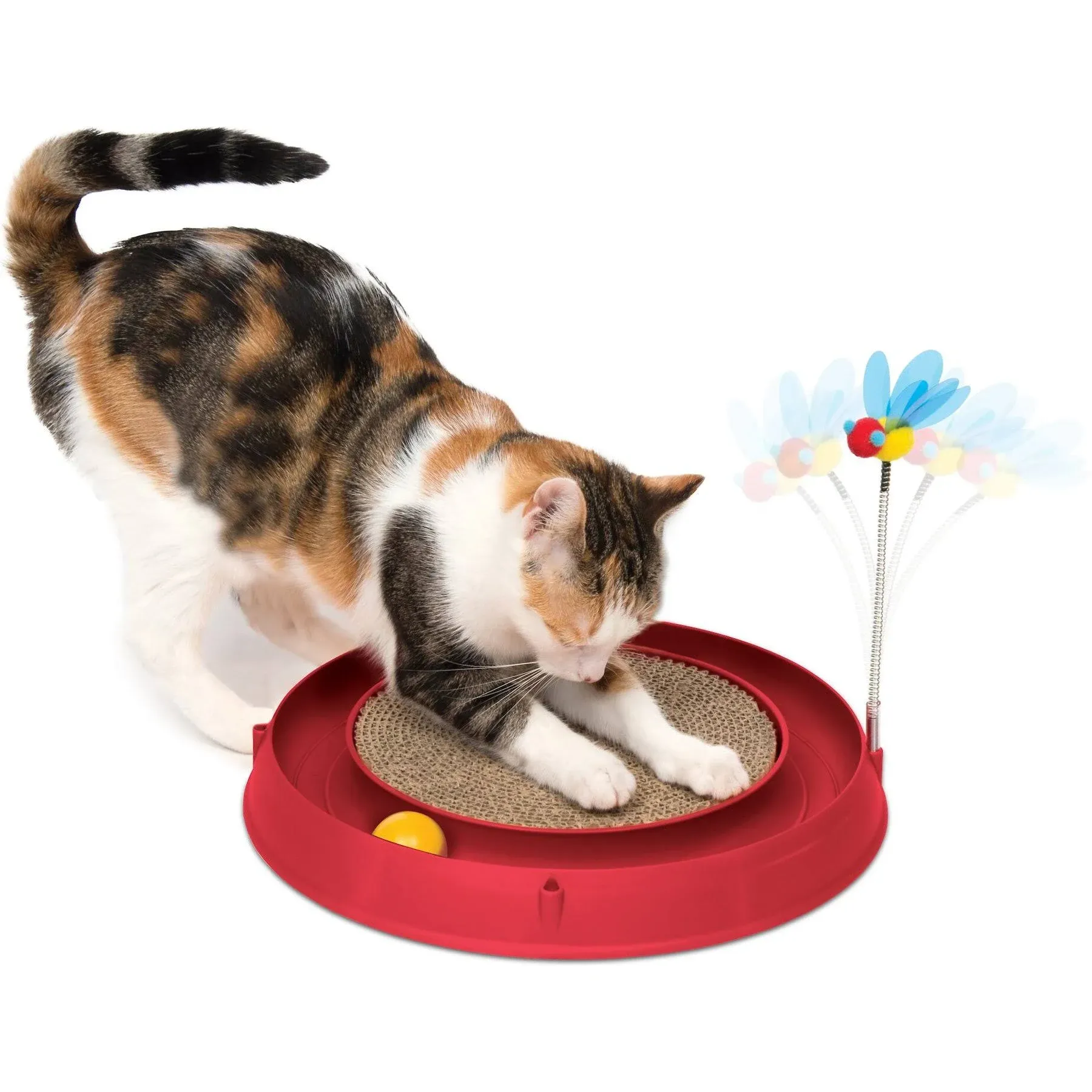 Catit Play Circuit Ball Cat Toy with Scratch Pad