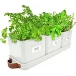 volila Herb Planter Indoor - Set of 3 Warmstone Herb Pots for Indoor Plants with Leather Handled Tray - Ideal for Window Garden, Plants, and Flowers - Plant Pots with Drainage Holes and Labels