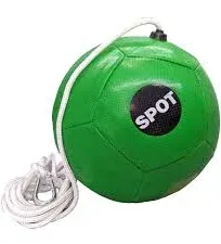 Spot Tether Ball Dog Toy with Rope