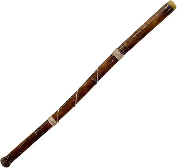 Modern Didgeridoo Instrument – Hand-fired with Beeswax Mouthpiece, Durable and Lightweight, Ideal for Beginners – Key of D