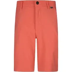 Hurley Boys' H20-dri Walk Shorts