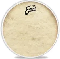 Evans Calftone Drum Head