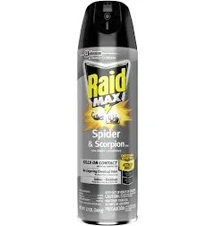 Raid Max 12-oz. Spider & Scorpion Killer