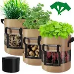 Visible Strawberry Sweet Potato Grow Bags 7 Gallon with Flap Window 3-Pack, Heav