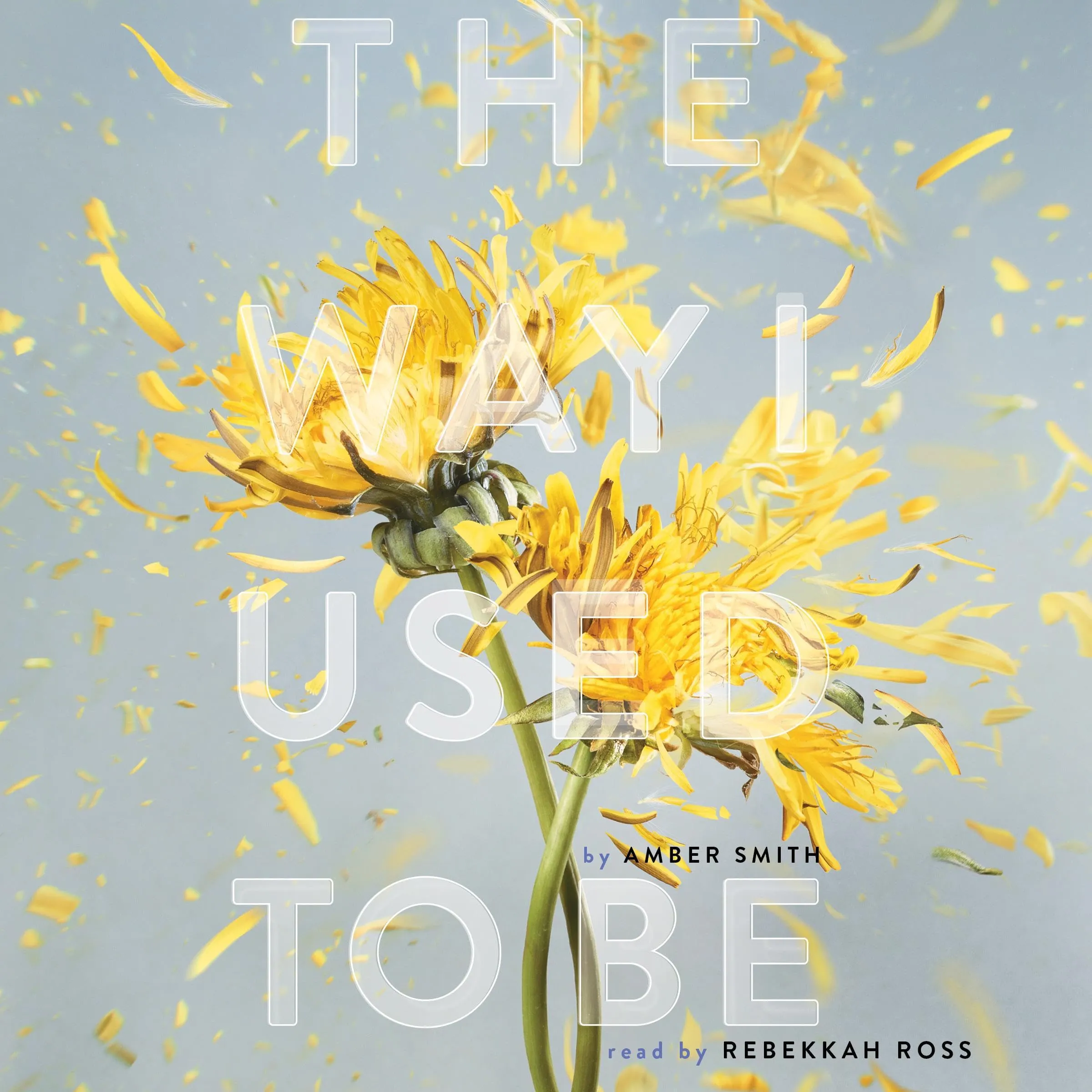 The Way I Used to Be by Amber Smith: New