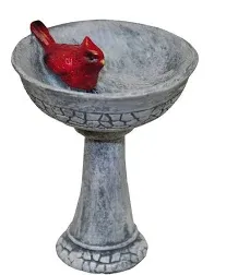 Miniature Fairy Garden Polyresin Cardinal Birdbath Pick