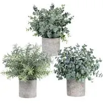 Winlyn Set of 3 Mini Potted Artificial Eucalyptus Plants