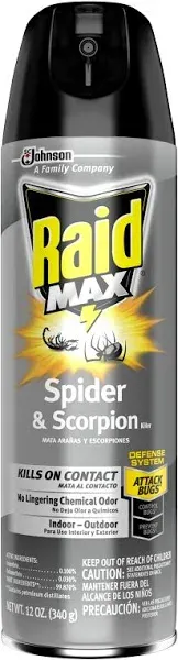 Raid Max Insect Killer Aerosol 12 oz