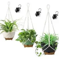 Koalaime 3 Pack Hanging Planters Set